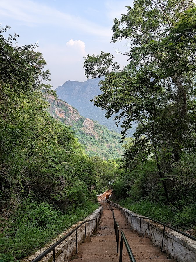 Agaya Gangai Waterfall - Photo 4