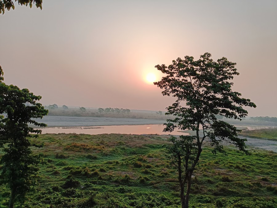 Gorumara National Park - Photo 3