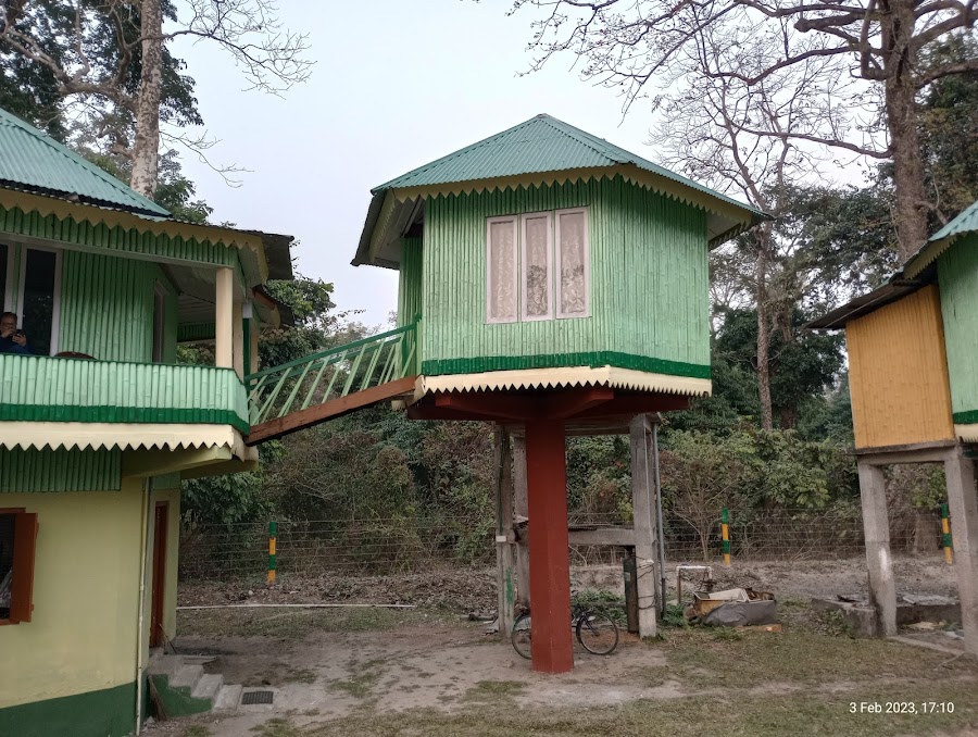 Gorumara National Park - Photo 10