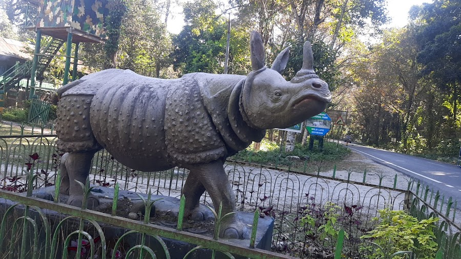 Gorumara National Park - Photo 8