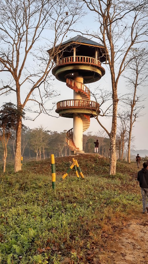 Gorumara National Park - Photo 5
