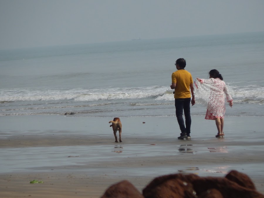 New Digha Sea Beach - Photo 7