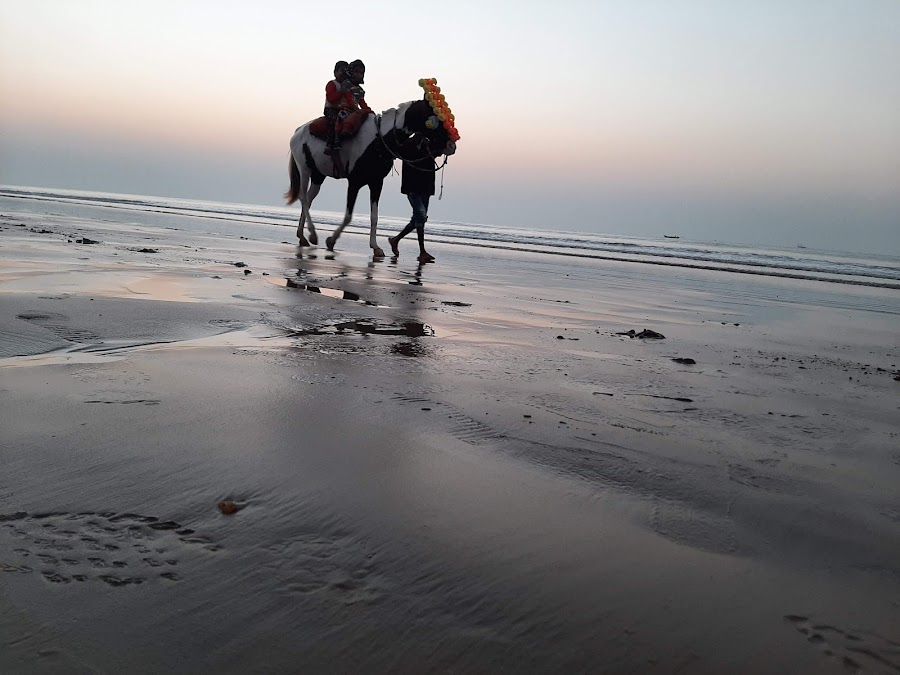 New Digha Sea Beach - Photo 5