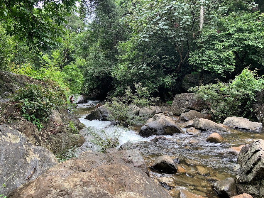 Makkiyad Meenmutty Waterfalls - Photo 4