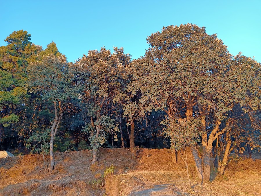 Mary Budden Estate - Photo 5