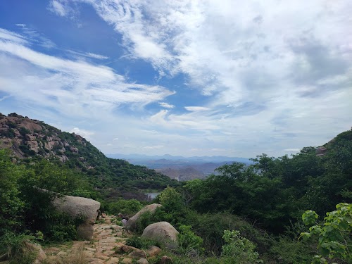 Penukonda Fort - Photo 3