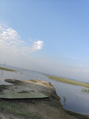 Nal Sarovar Bird Sanctuary - RAMSAR Wetland - Photo 3