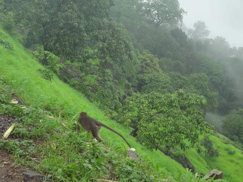Khandala - Photo 3