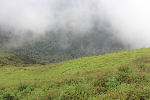 Kodachadri - Photo 2