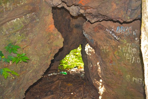 Kodachadri - Photo 4