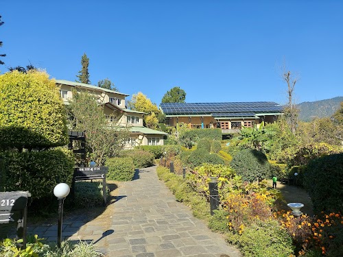 Binsar - Photo 4