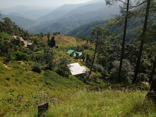 Binsar - Photo 3