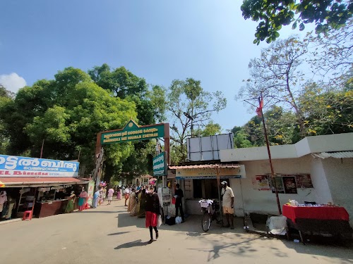 Mannarasala Sree Nagaraja Temple - Photo 4