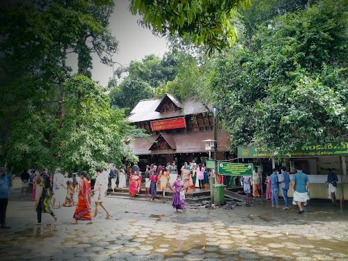 Mannarasala Sree Nagaraja Temple - Photo 2