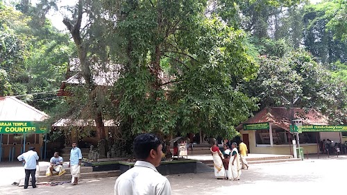 Mannarasala Sree Nagaraja Temple - Photo 3