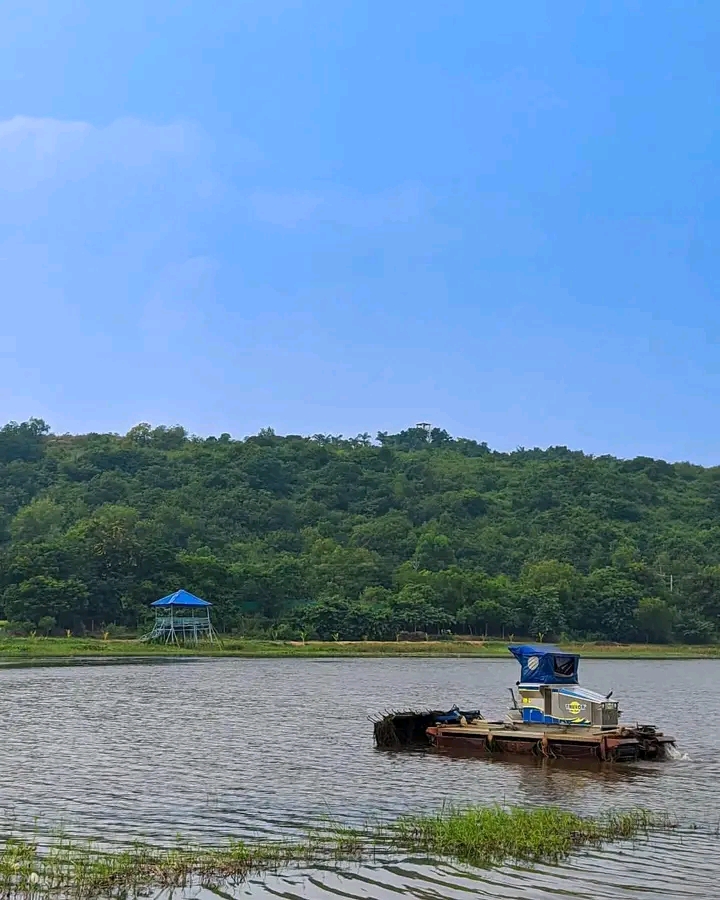 Ansupa Lake - Photo 3