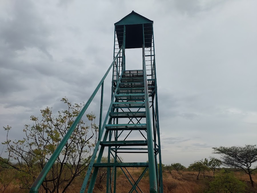 Great Indian Bustard Sanctuary - Photo 3