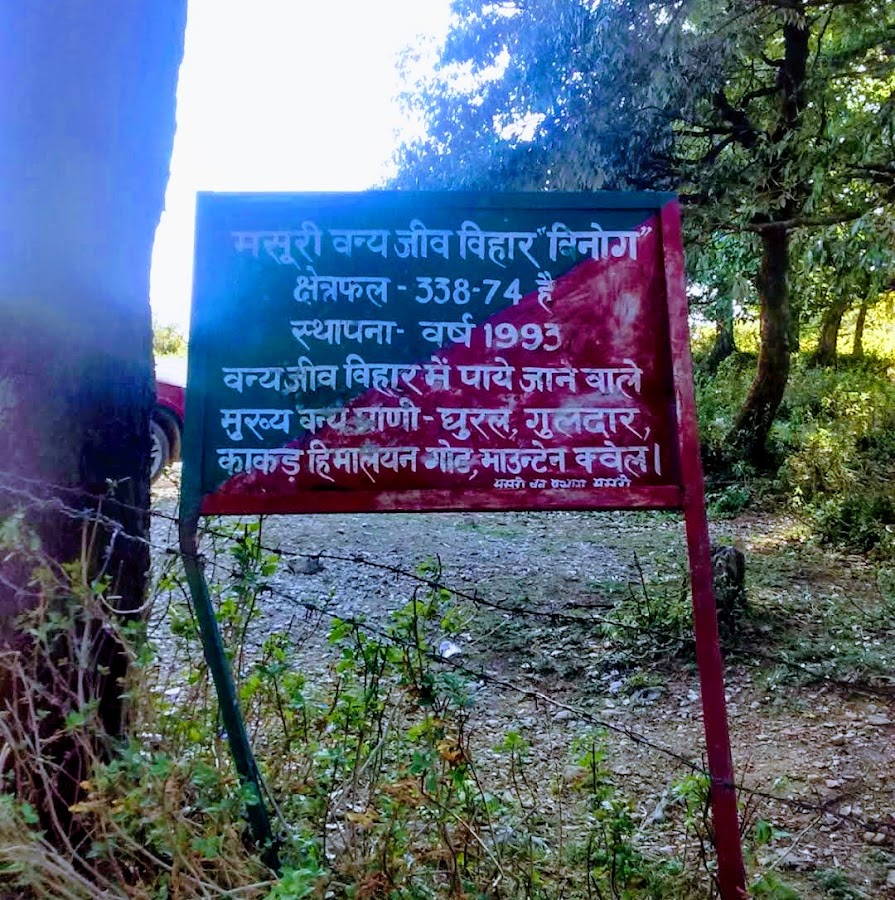 Benog Wildlife Sanctuary - Photo 2