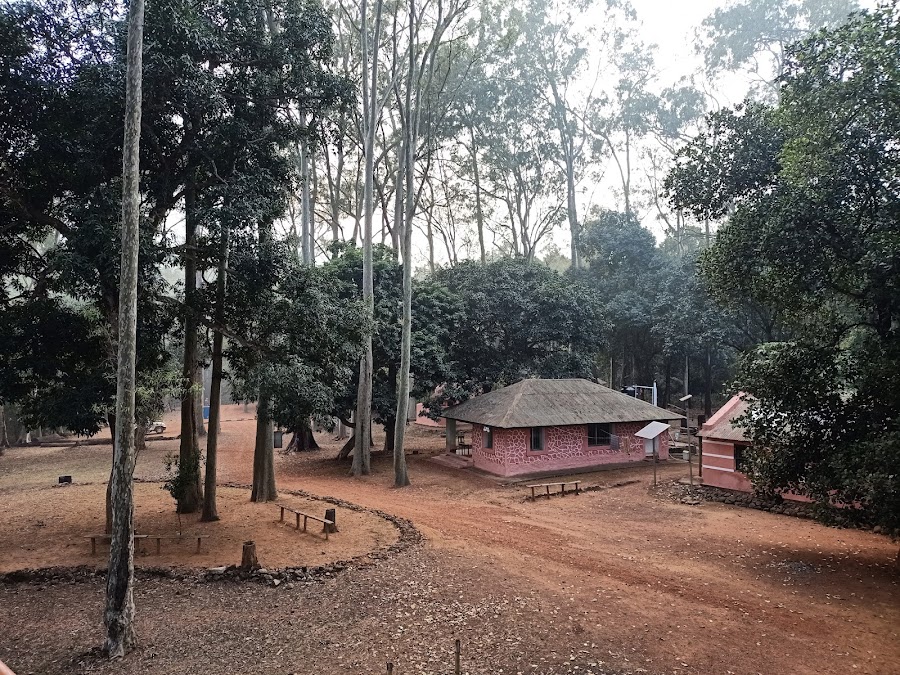 Chahala - Photo 3