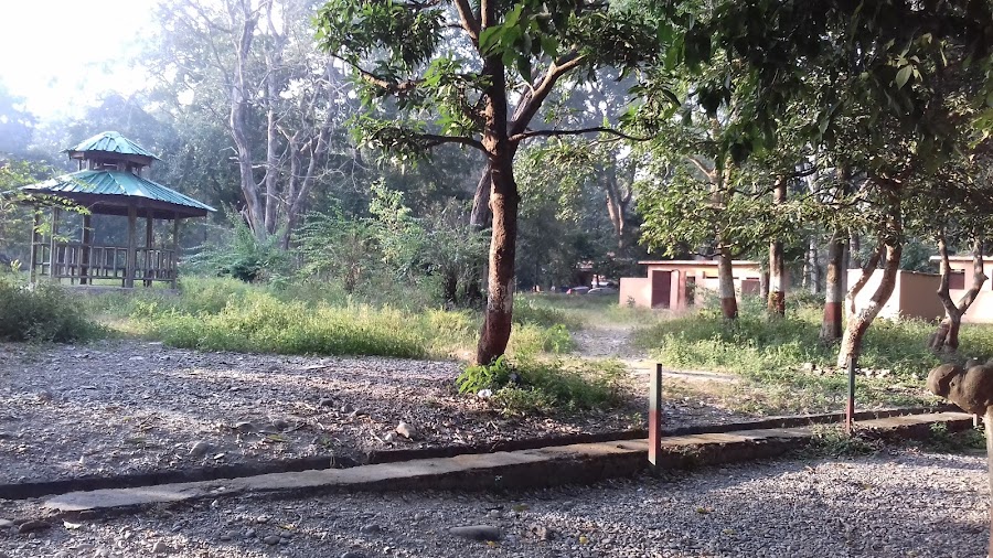 Lachhiwala Range - Photo 3