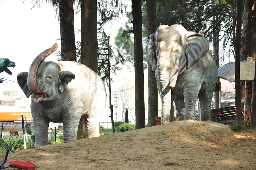 Ashiyana Park - Photo 5