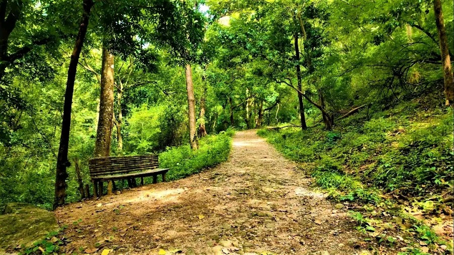 Dhoni Waterfalls - Photo 4