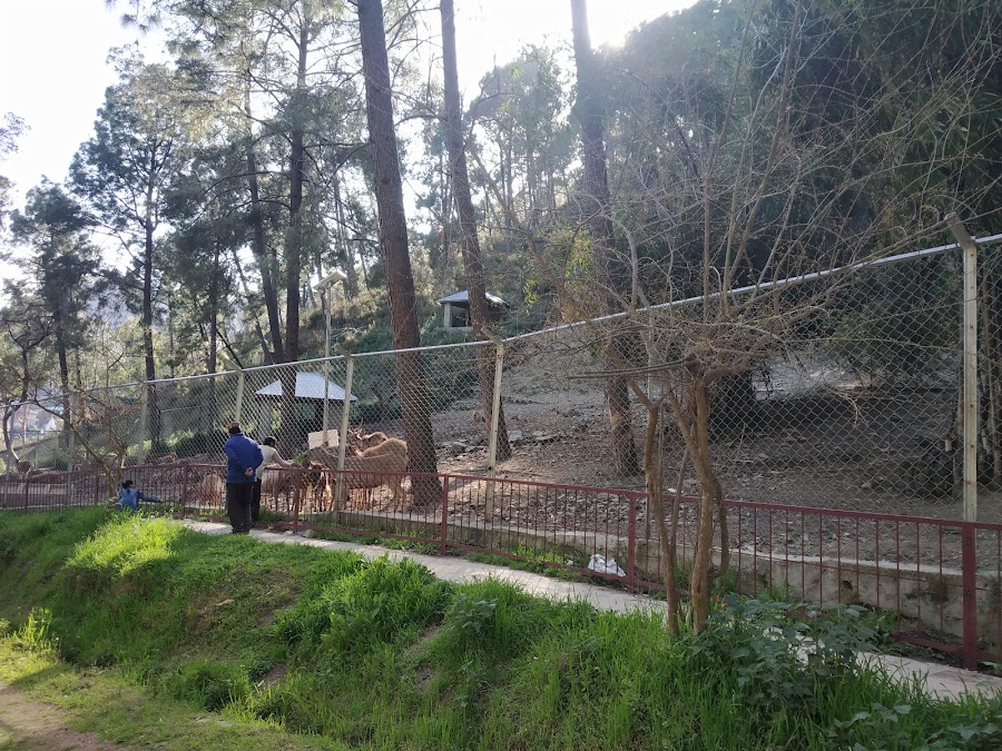 Rewalsar Zoo - Photo 3