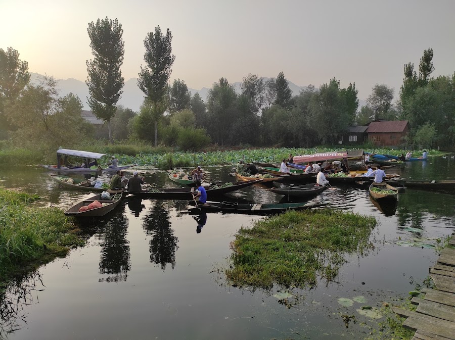 Floating Vegetable Market - Photo 4