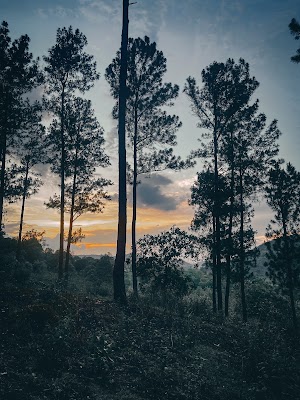 Lambasingi - Photo 3