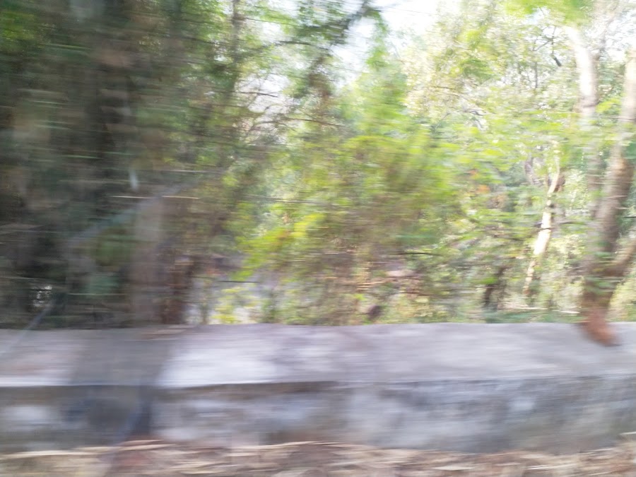 Lambasingi - Photo 3