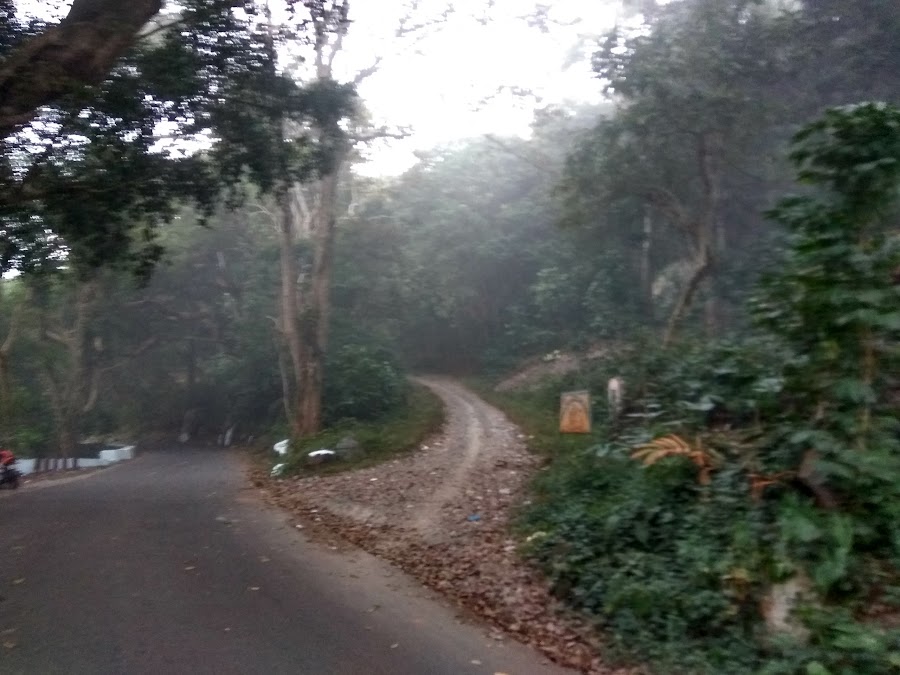 Lambasingi - Photo 2