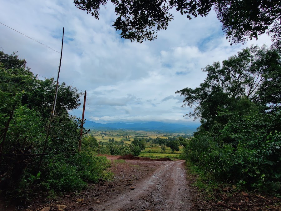 Lambasingi - Photo 4