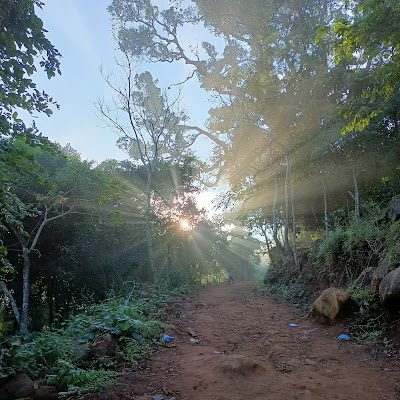 Lambasingi - Photo 5