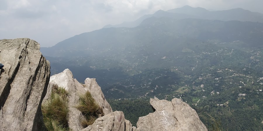 Chauli Ki Jali - Photo 3