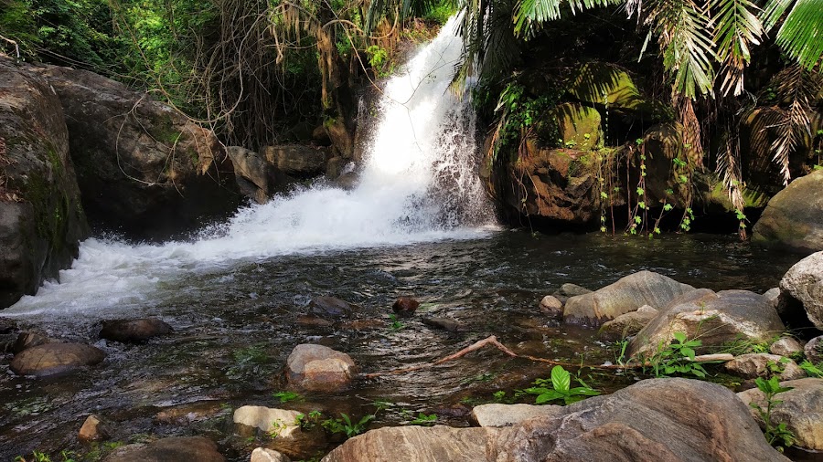 Meenvallam Waterfalls - Photo 2