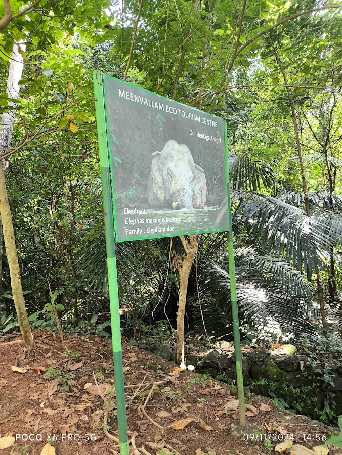 Meenvallam Waterfalls - Photo 4