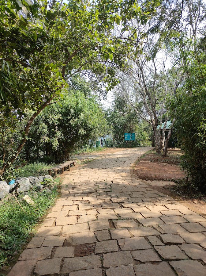 Soochipara Waterfalls - Photo 3