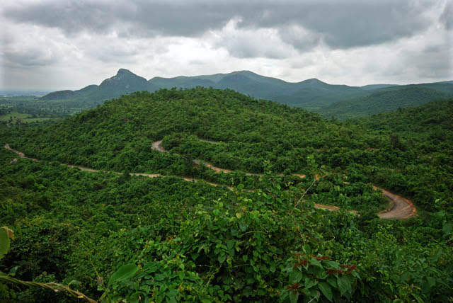 Dalma Wildlife Sanctuary - Photo 2