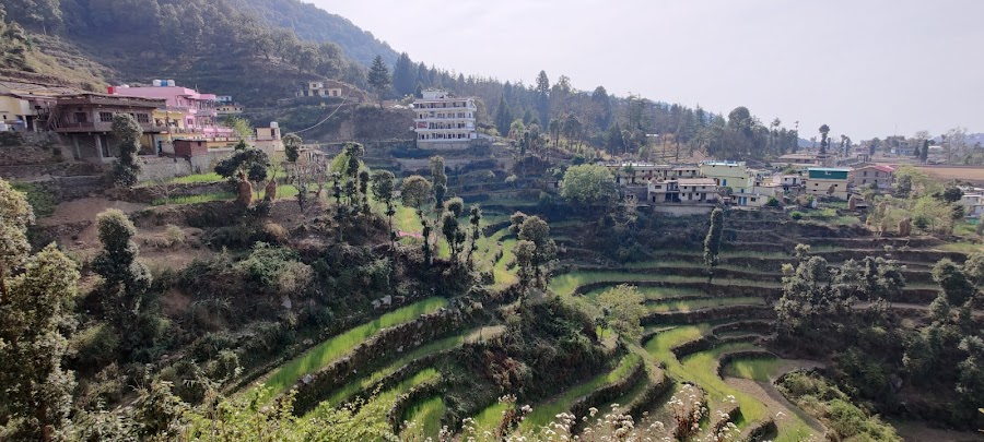Khirsu - Photo 5