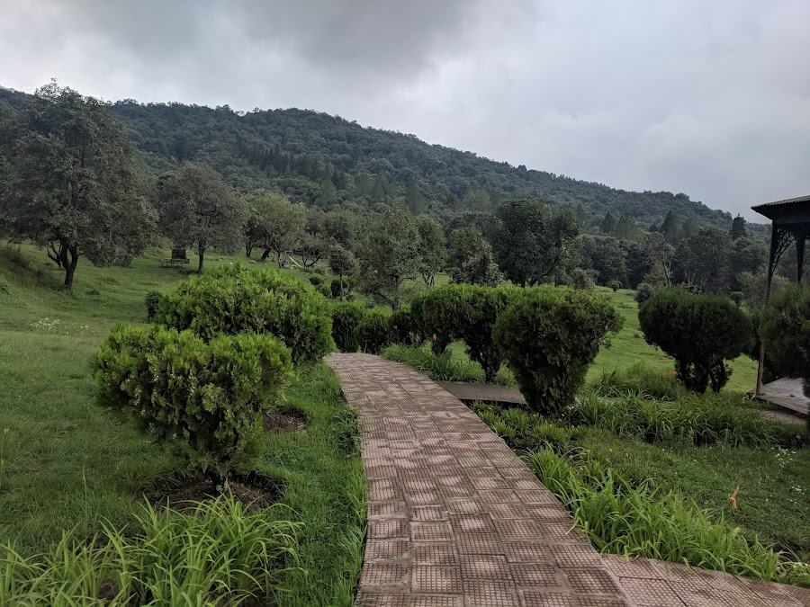 Pauri - Photo 4