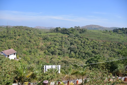 Vagamon - Photo 5