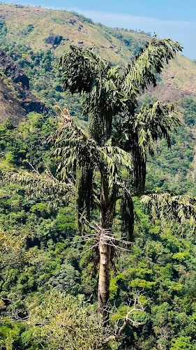 Vagamon - Photo 6