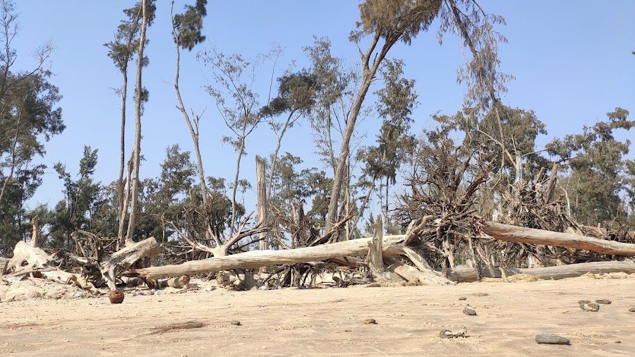Tajpur Sea Beach View Point - Photo 3