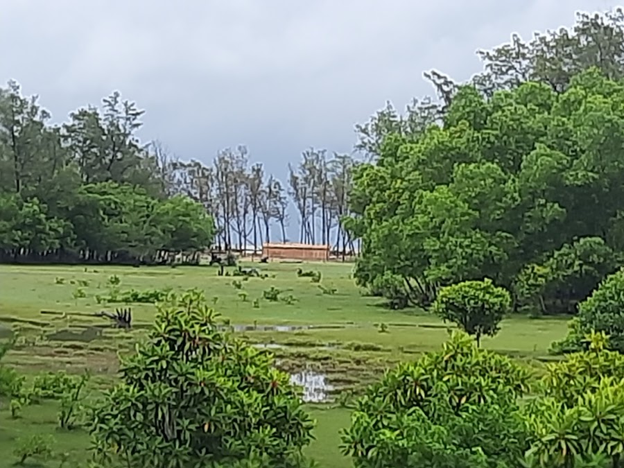 Tajpur Sea Beach View Point - Photo 8