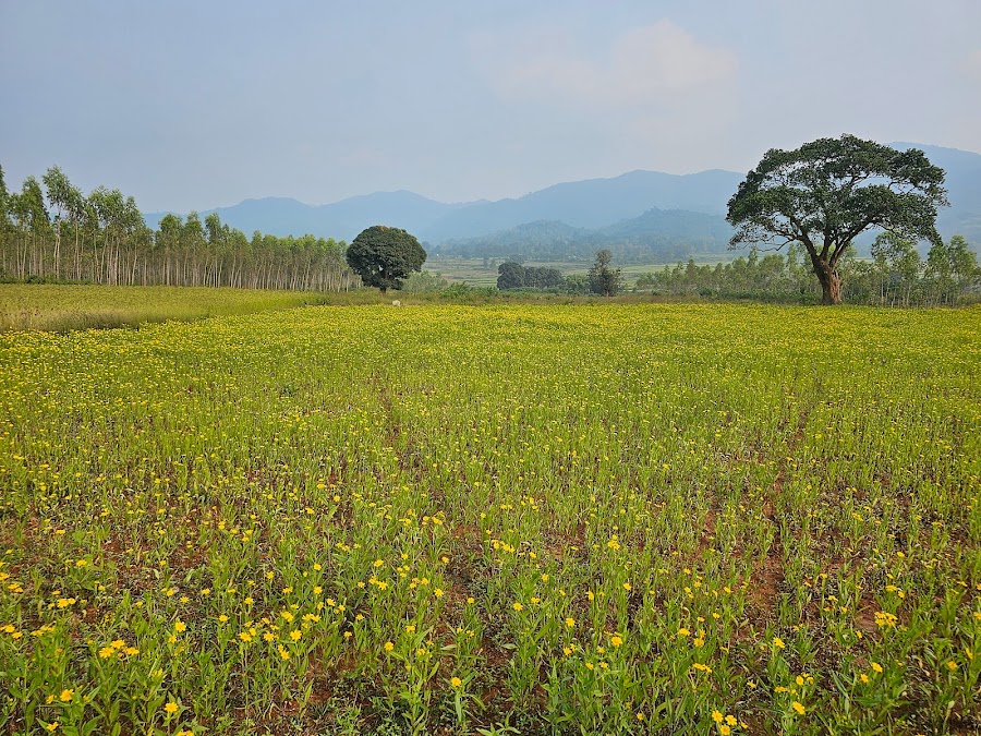 Lambasingi View Point - Photo 3
