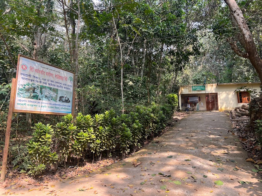 Lawachara National Park - Photo 3
