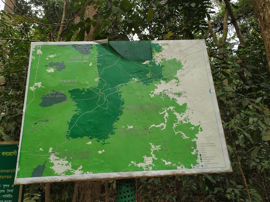 Lawachara National Park - Photo 10