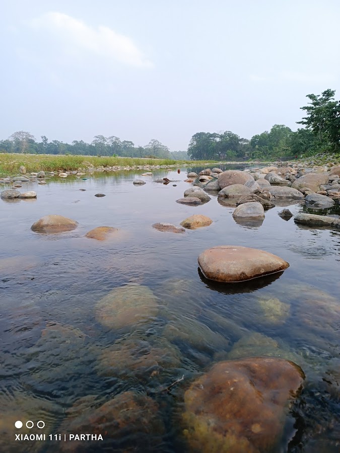 Murti - Photo 8