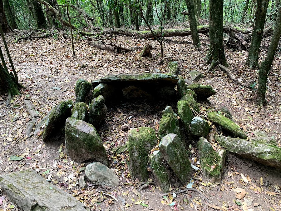 Sacred Forest of Mawphlang - Photo 2