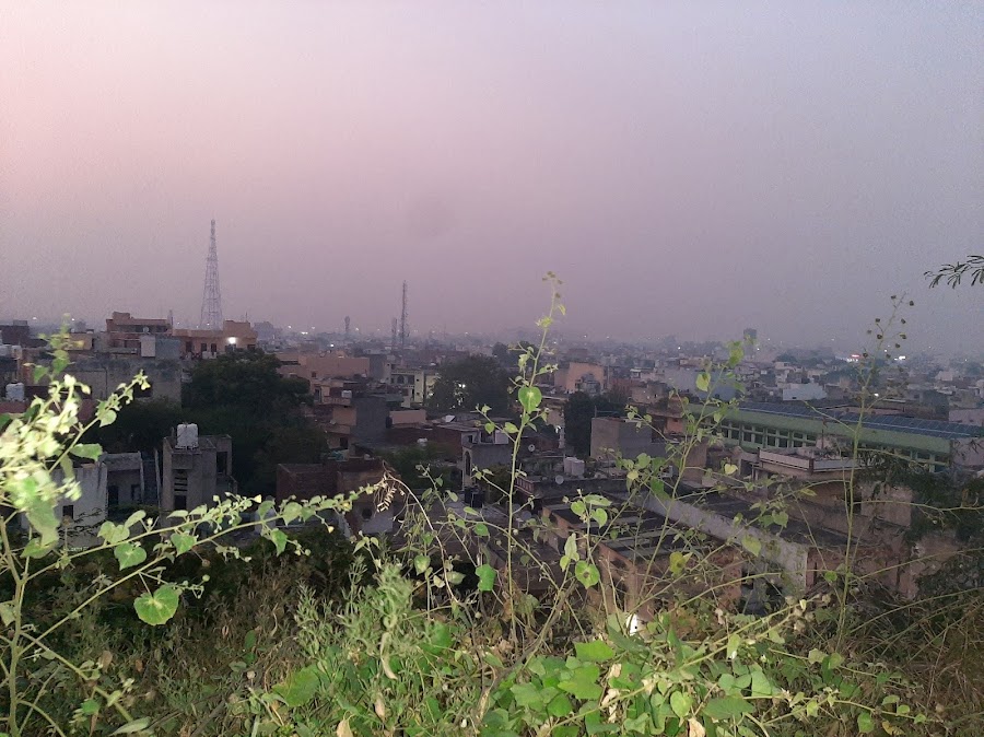 Old Fort - Photo 2